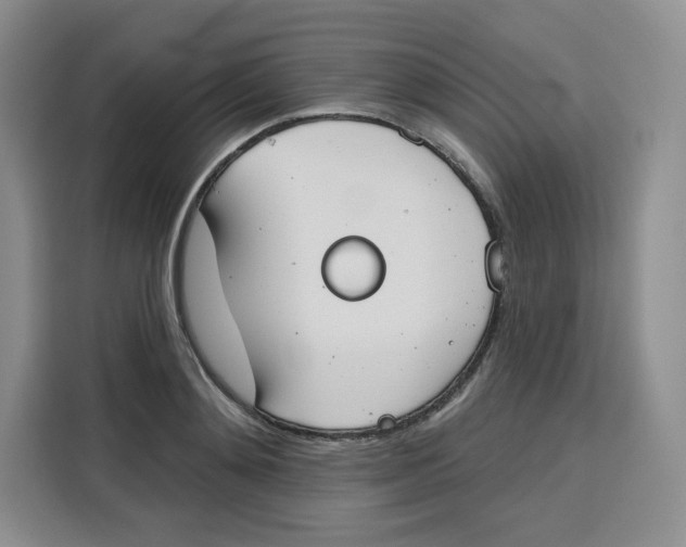 X0000115090892200911241211