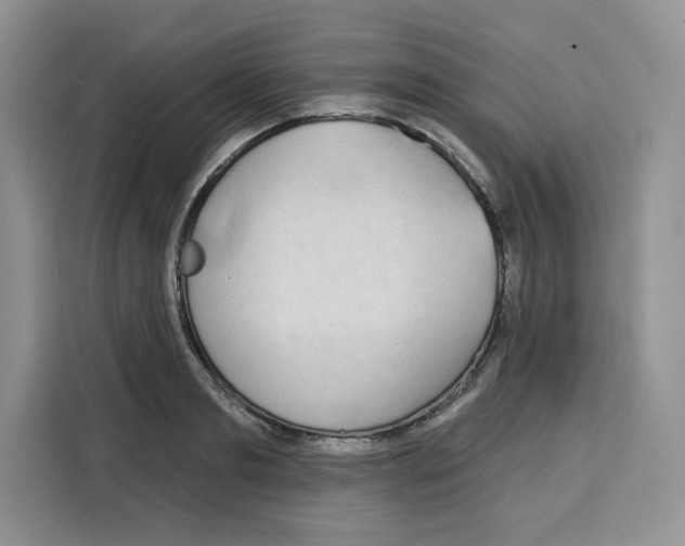 X0000115090893200911241211