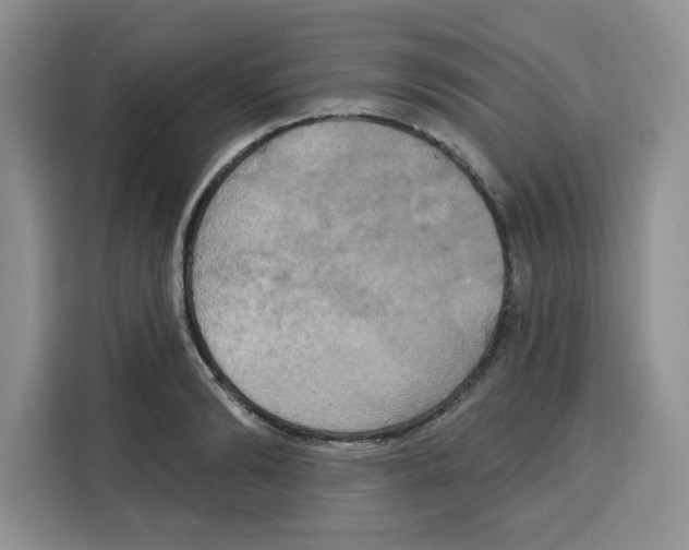 X0000115090894200911241211