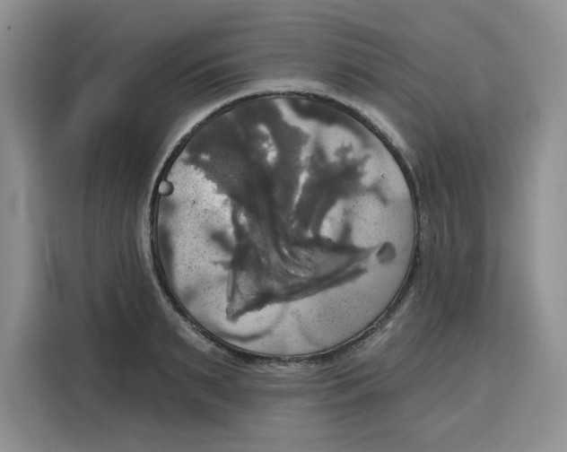 X0000115090895200911241211