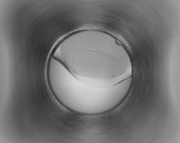 X0000115090896200911241211