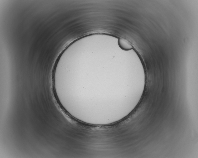 X0000115090898200911241211