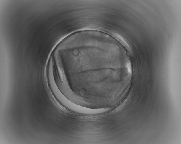 X0000115090900200911241211