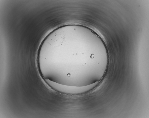 X0000115090901200911241211