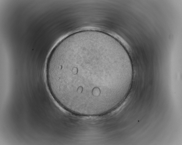 X0000115090902200911241211