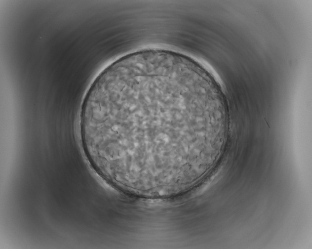 X0000115090903200911241211
