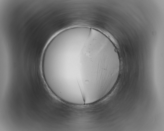 X0000115090904200911241211