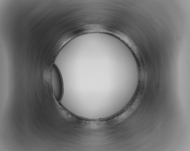 X0000115090905200911241211