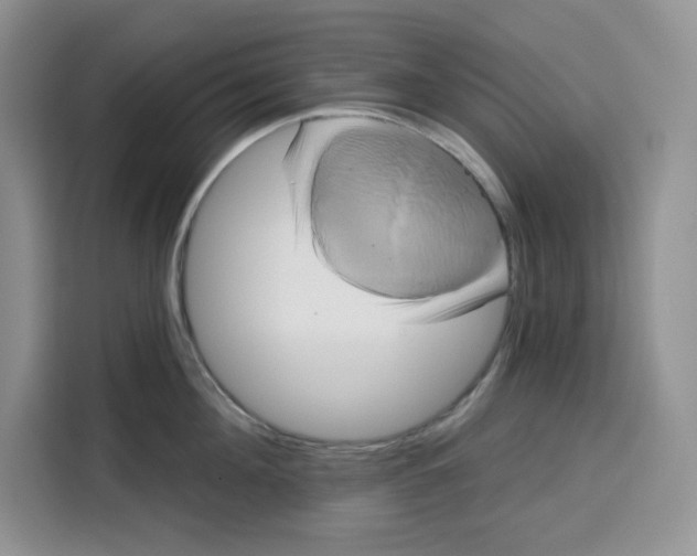X0000115090908200911241211