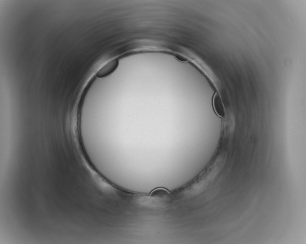 X0000115090909200911241211
