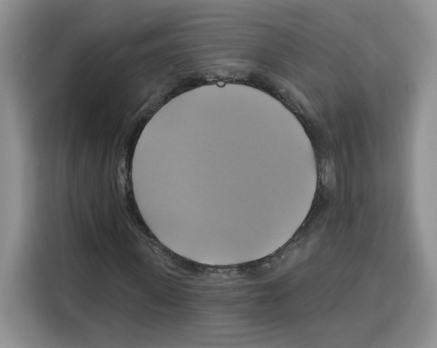 X0000115090915200911241210
