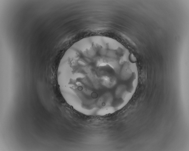 X0000115090917200911241210