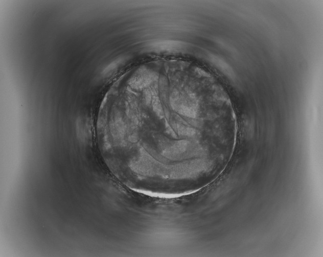 X0000115090918200911241210