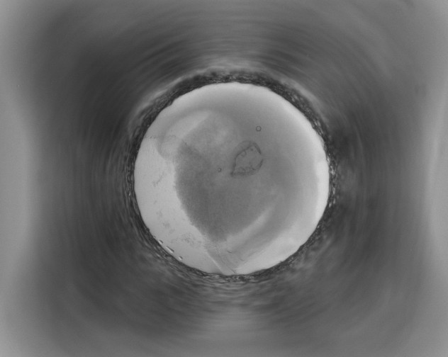 X0000115090919200911241210