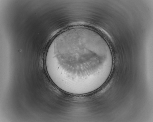 X0000115090921200911241210