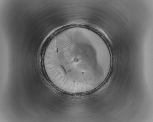 X0000115090923200911241210