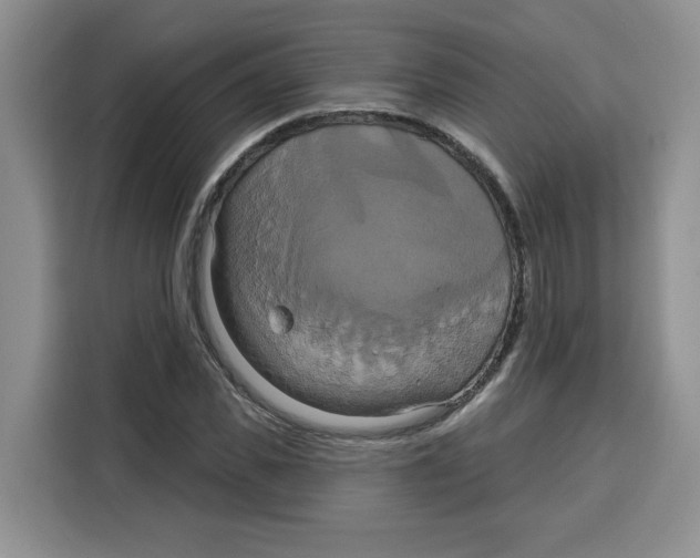 X0000115090925200911241210