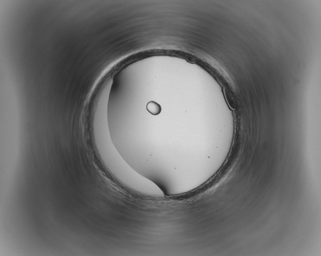 X0000115090926200911241210