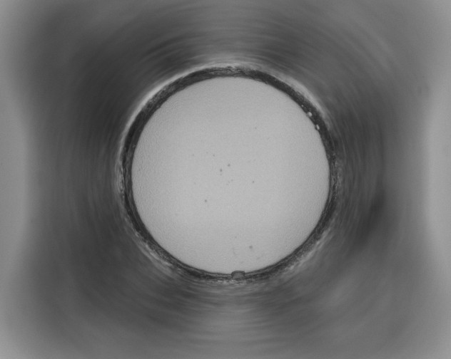 X0000115090927200911241210