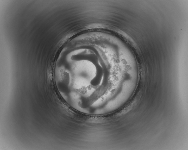 X0000115090929200911241210