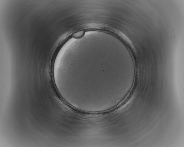 X0000115090930200911241210