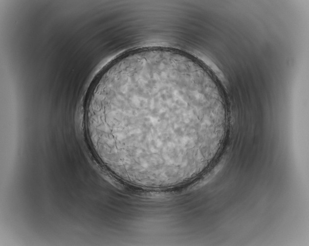 X0000115090933200911241210