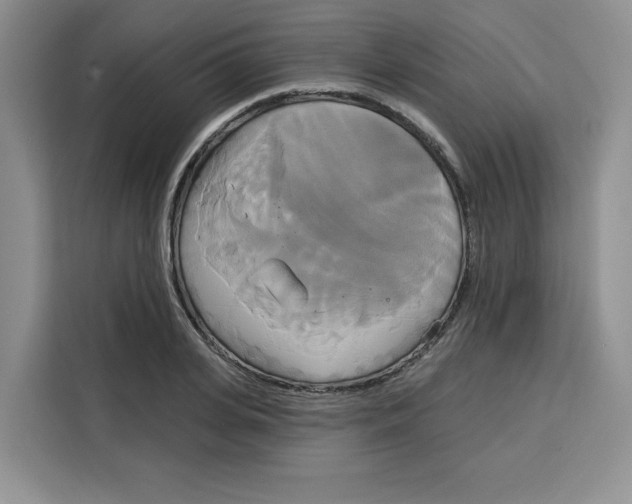 X0000115090935200911241210
