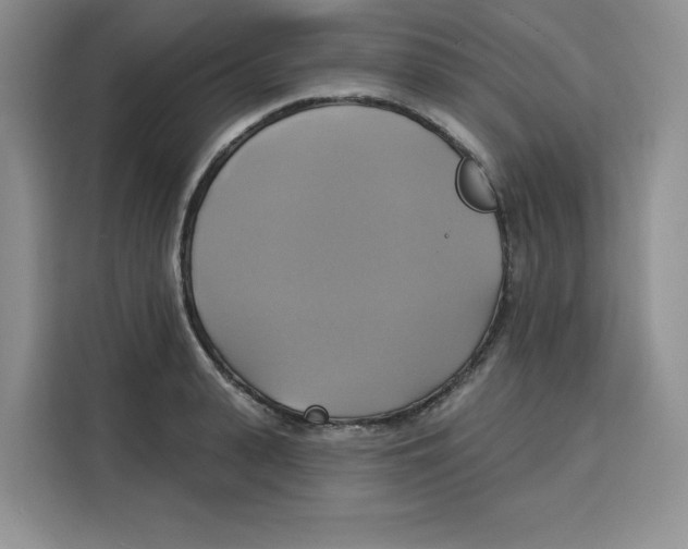 X0000115090943200911241210