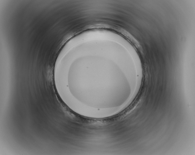 X0000115090945200911241210