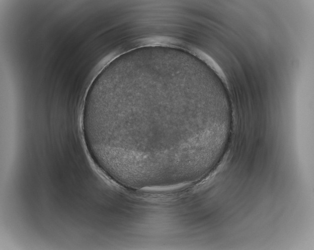 X0000115090946200911241211