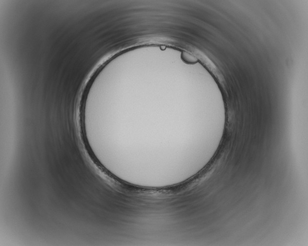 X0000115090947200911241211