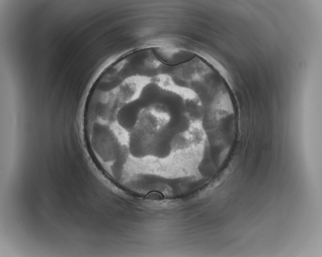 X0000115090949200911241211