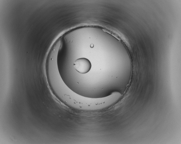 X0000115090950200911241211