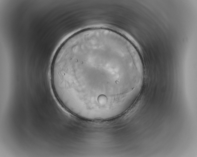 X0000115090951200911241211