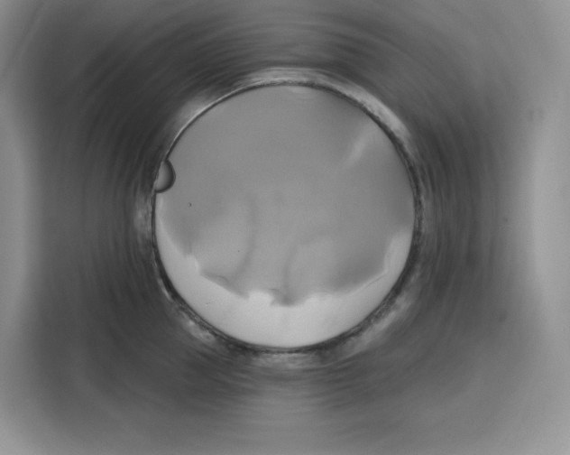 X0000115090953200911241211