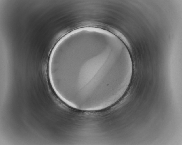 X0000115090954200911241211