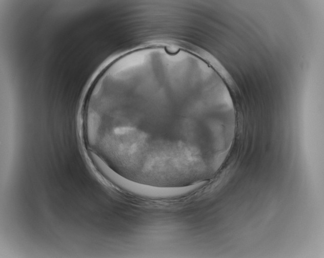 X0000115090955200911241211
