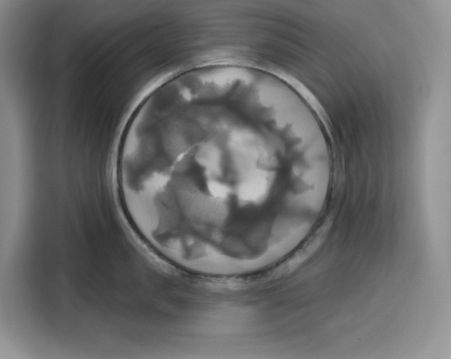 X0000115090957200911241211