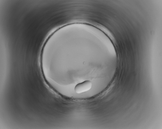 X0000115090958200911241211