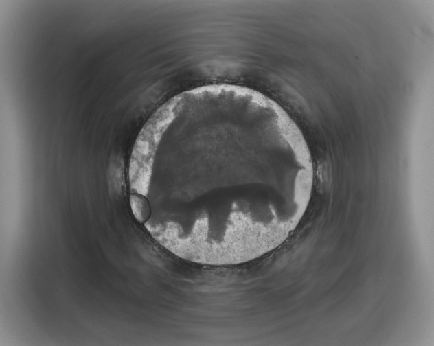 X0000115090963200911241210