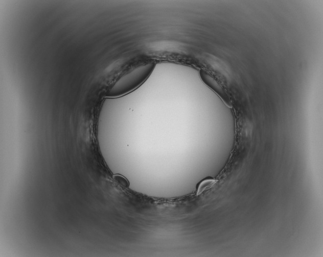 X0000115090965200911241210