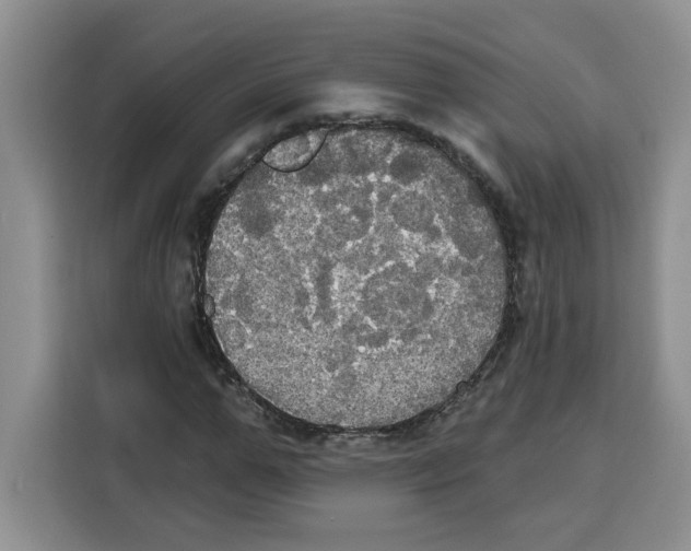 X0000115090967200911241210