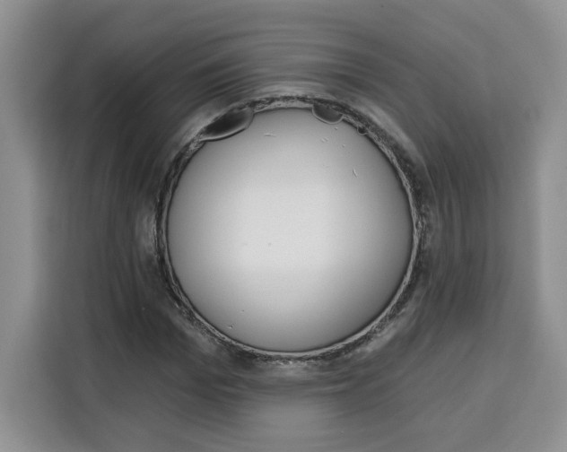 X0000115090969200911241210