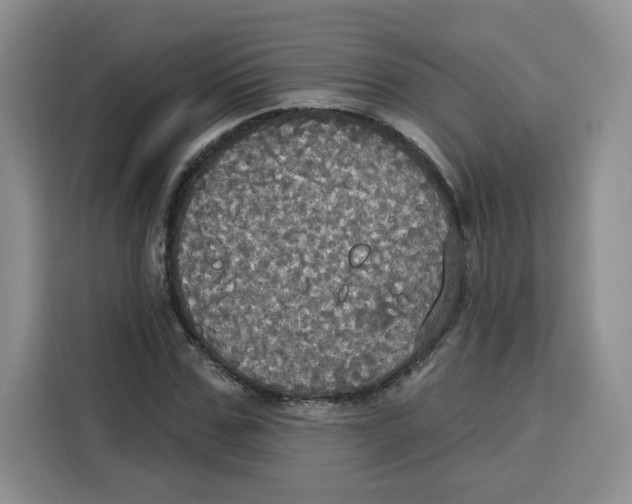 X0000115090971200911241210