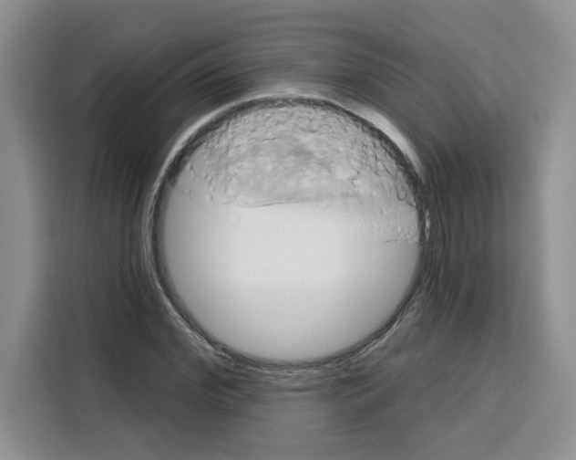 X0000115090972200911241210