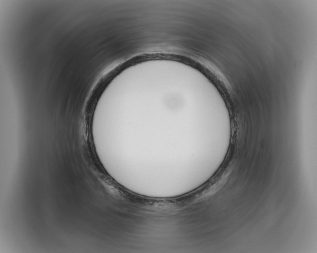 X0000115090974200911241210