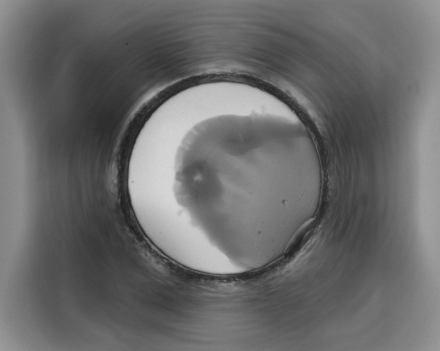 X0000115090975200911241210
