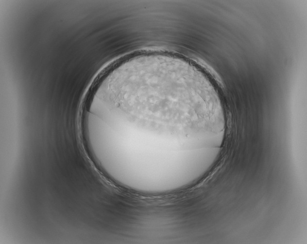 X0000115090976200911241210