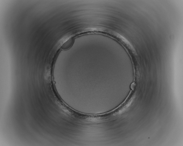 X0000115090977200911241210