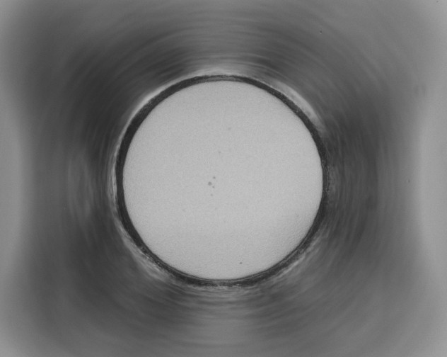 X0000115090980200911241210